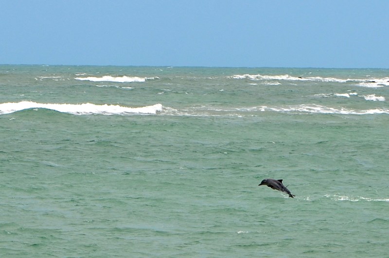 Baa dos Golfinhos - Praia da Pipa - Tibau do Sul - Rio Grande do Norte - Regio Nordeste - Brasil